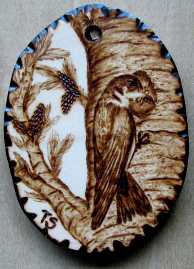 tree swallow tanja sova pyrography